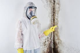 Professional Mold Remediation in Nesquehoning, PA